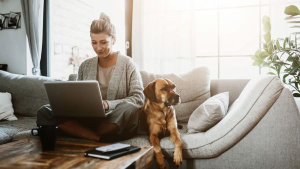 Where to look for work-from-home opportunities