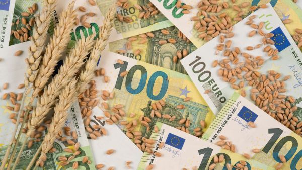 Global food costs index hits 2-Year Low