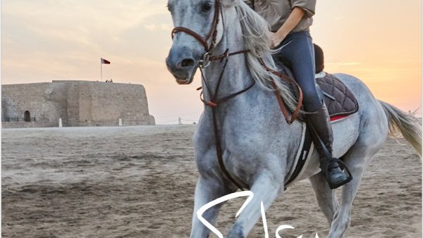 The Campaign, which will be launched from the BTEA’s Instagram account @Bahrain.Ours.Yours.ar, will focus on promoting the Kingdom of Bahrain’s unique attractions and experiences. As Part of its Commitment to Boosting the Tourism Industry BTEA Launches New #WeWillMeet Campaign