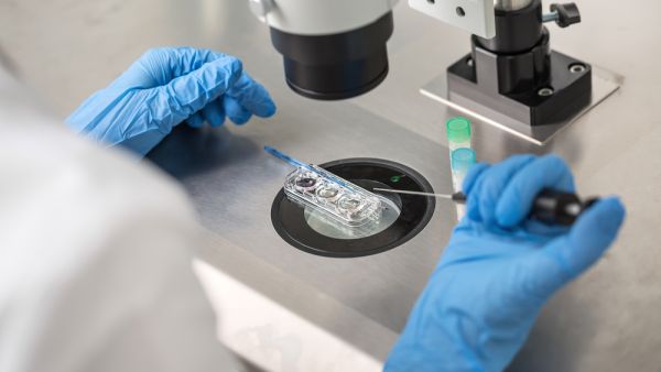 KSA is also a growing market for IVF, with a plan to invest SR 250 billion in healthcare infrastructure and boost private sector participation from current 40% to 65% by 2030. (Shutterstock) IVF in the MENA Region