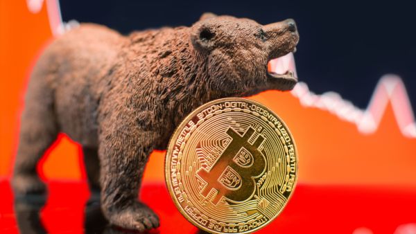 How to Survive the Crypto Bear Market