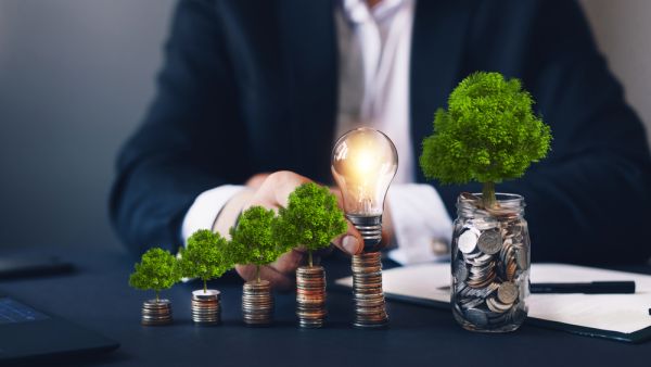 Tabuk Firms Go Green Eyeing Business with NEOM