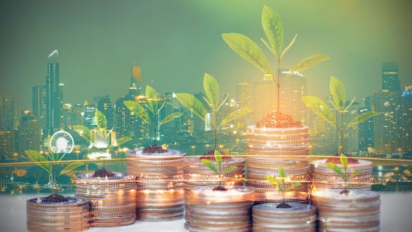 Can VAT Cuts Help The Post-Pandemic Economy?