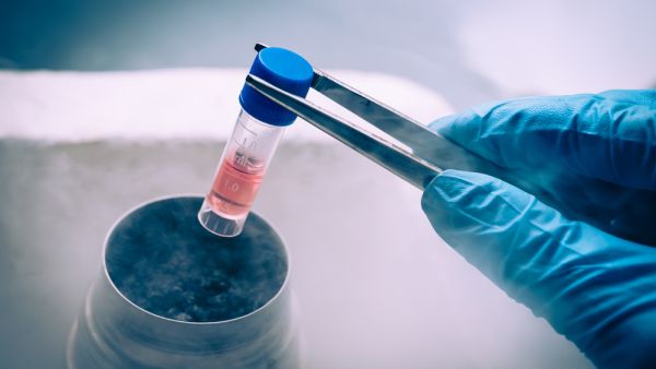 The aim of the collaboration is to capitalize on each company’s respective areas of expertise in cell therapies to deliver regenerative medicine for the benefit of not only the citizens of the UAE and Israel, but humanity as a whole. (Shutterstock) UAE, Israeli Stem Cells Centres Ink Collaboration Agreement