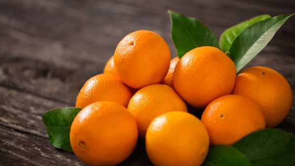 Egypt Exports First-Ever Shipment of Orange to Japan