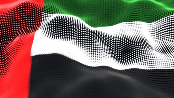 أعمال التأجير والضيافة الفندقية تظهر مرونة تشغيلية وتحافظ على ربحيتها مع وصول معدل الإشغال إلى 90٪ "إشراق للاستثمار" تحقق أرباحاً صافية قدرها 11.8 مليون درهم قبل مخصصات انخفاض قيم العقارات للسنة المنتهية في 31 ديسمبر 2019
