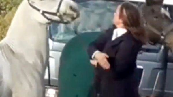 معلمة بريطانية تركل وتصفع حصانا بلا رحمة (فيديو)