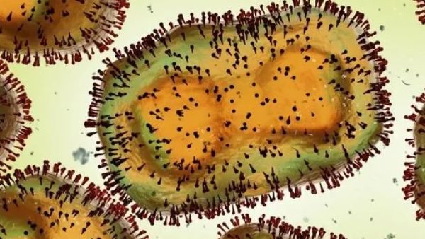 مصر تسجل إصابة جديدة بفيروس جدري القرود