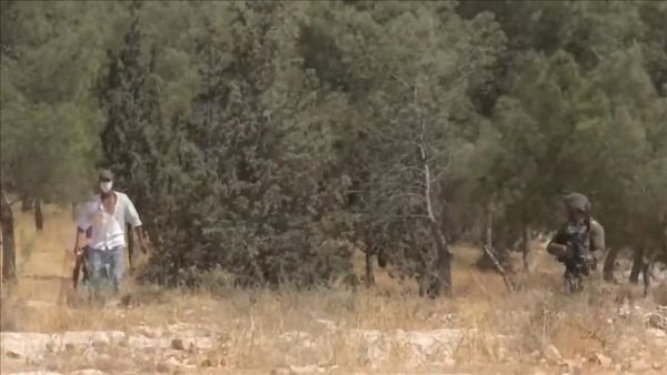 مستوطنون يطلقون النار على أطفال فلسطينيين ويتلفون عشرات الاشجار بالضفة