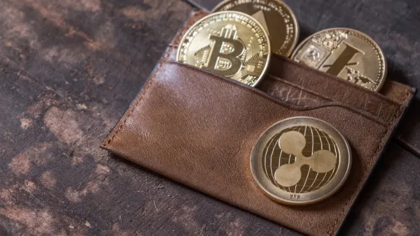 The project, launched last year, has been met with caution by banks. 