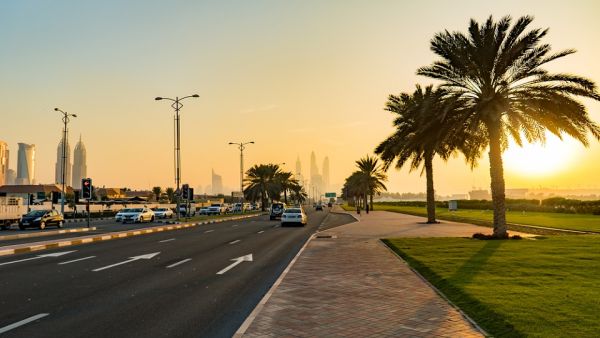In May 2019, Dubai Free Zone Council had announced plans to launch of "One Free Zone Passport"