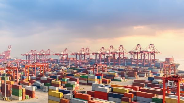 WTO Unveils New import Licensing Platform