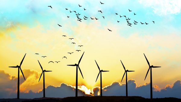 The wind farm will be located 560 miles (896km) north of Riyadh, in the al-Jouf region.