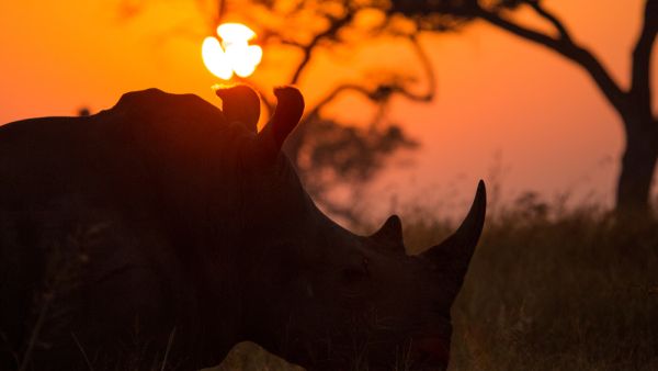 (Shutterstock)	 (Shutterstock)