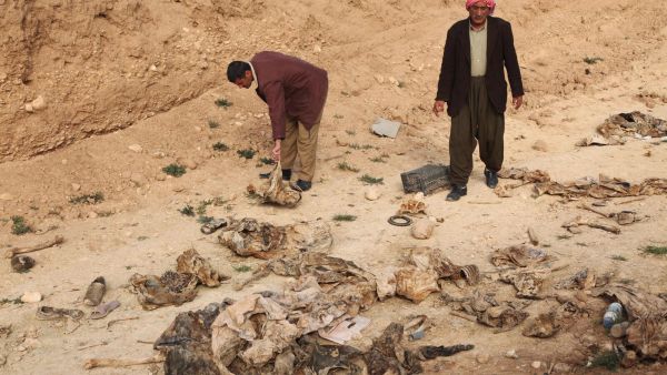حفار القبور قيصر سوري جديد يدين نظام الاسد