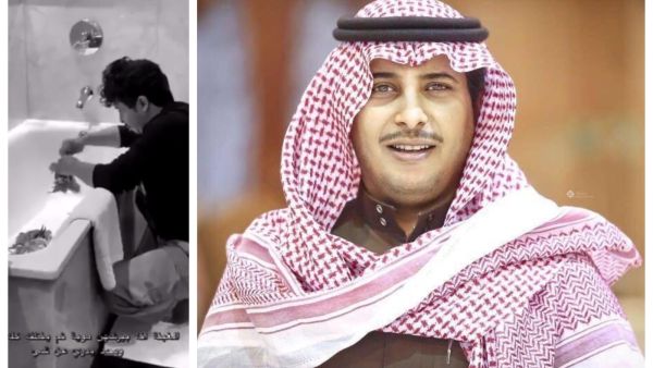 السنابر أبو بجاد