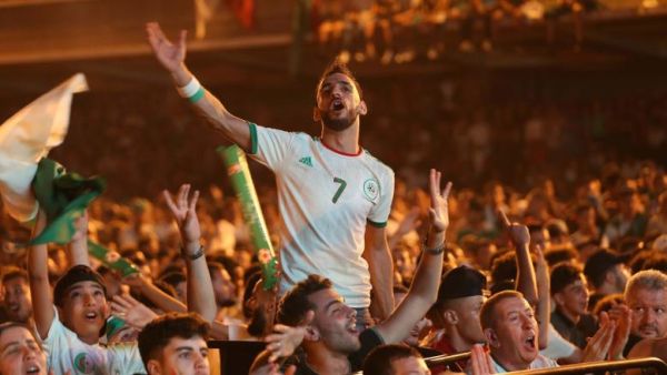 احتفالات الجماهير الجزائرية