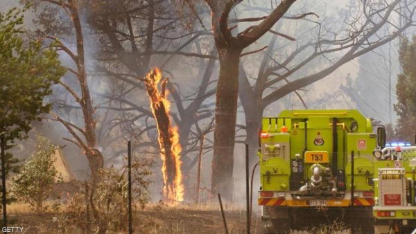 دمرت الحرائق أكثر من 112 ألف كيلومتر مربع من الأراضي
