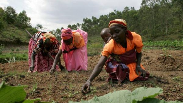  طواقم من "الصحة العالمية" استغلوا نساء أفريقيات جنسيا