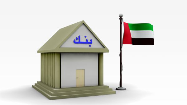 الاستراتيجية الجديدة تدعم دور المصرف المركزي في تنشيط الاقتصاد الوطني، وتقوية مركزه المالي وزيادة أصوله