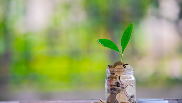 الإمارات مستمرة بقوة في ضخ استثمارات كبيرة في القطاع