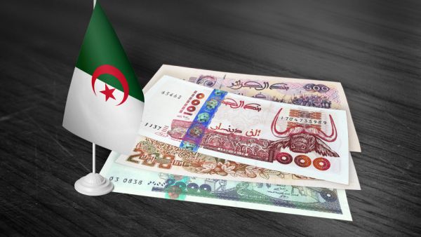 الجزائر تدعو الشركات على الانخراط في جهود دعم الاقتصاد