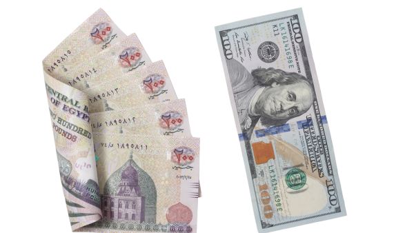 الدولار يتجه إلى أدنى مستوى أمام الجنيه المصري منذ 40 شهراً