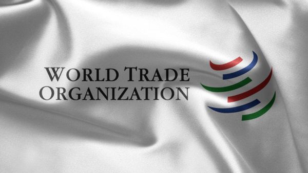 منظمة التجارة تدرس القوانين واللوائح الجديدة لمكافحة الإغراق بعد الجائحة