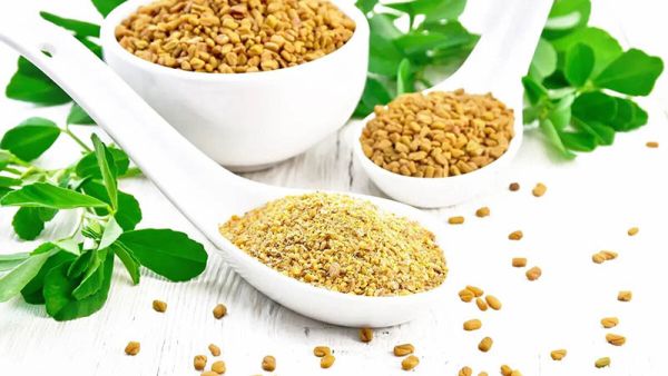 فوائد الحلبة الحصى