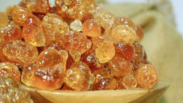 فوائد الصمغ العربي للمهبل