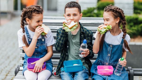 أهمية التغذية الصحية وأثرها على التحصيل الدراسي للطلاب