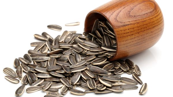 فوائد بذور عباد الشمس
