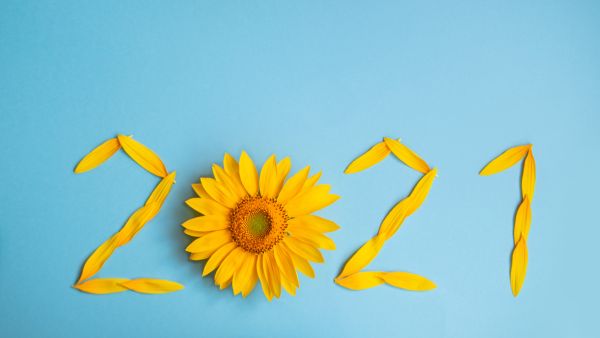 يكثرُ خلالَ فصل الربيع خروجُ الناس إلى النّزهات والرحلات خصائص فصل الربيع