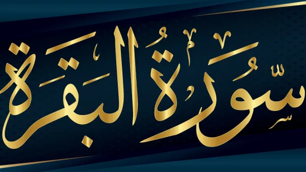 تفسير حلم سورة البقرة في المنام