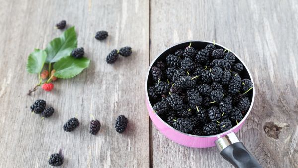 فوائد التوت الأسود الصحية والجمالية