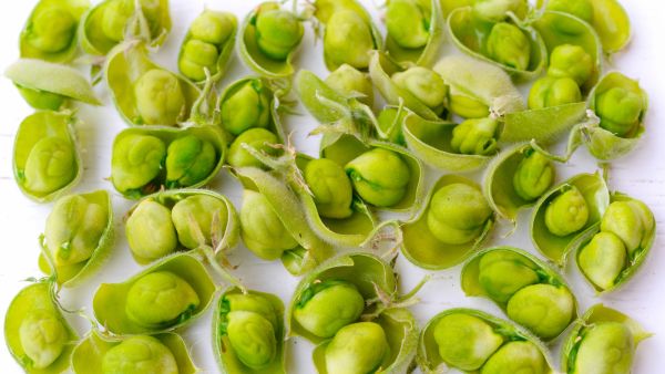 فوائد الحمص الأخضر
