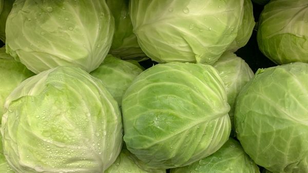 فوائد الملفوف 