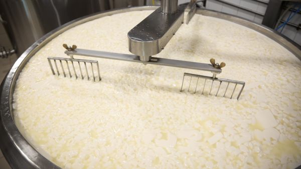 فوائد مصل اللبن