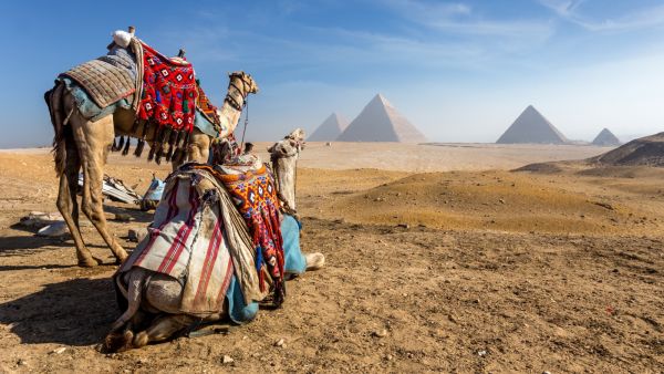 مدينة القاهرة