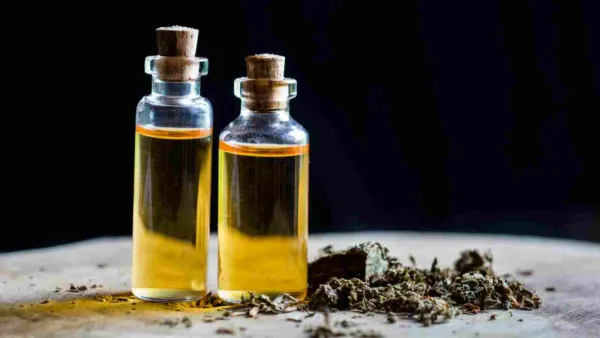 زيت الحية يعطي الشعر نضارة وحيوية طوال اليوم