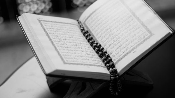 المحظوظ حقّاً من هيّأ نفسه لحُسن استقبال تلك النّعمة