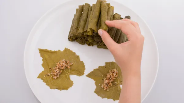 ورق العنب يزيد من نشاط الكبد ويقاوم الالتهابات 
