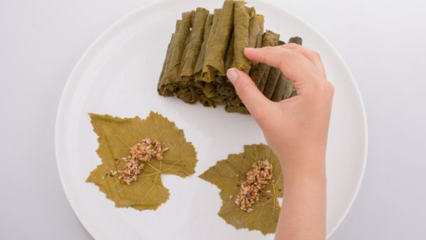 ورق العنب يزيد من نشاط الكبد ويقاوم الالتهابات 