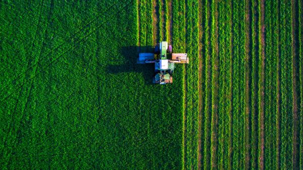South Sudanese Youth Turn to Farming to Address Food Shortage