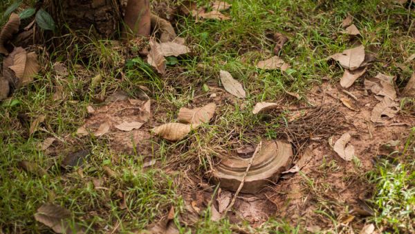 Colombia to Train Ukrainian Military in Demining
