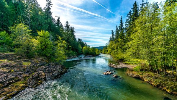 Where to Go for Beautiful Spring Scenery