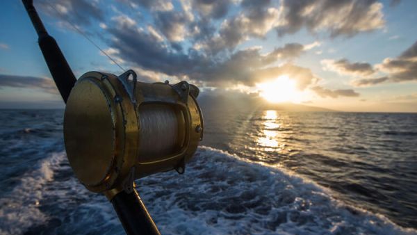 Where to Go for Middle East Fishing Adventures