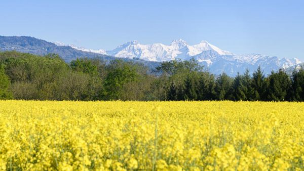 Five Springtime Nature Getaways