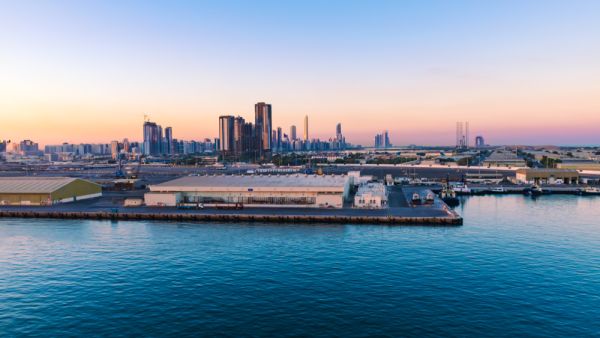 China Stops Construction of Secret UAE Port Project After US Raises Concerns: Report