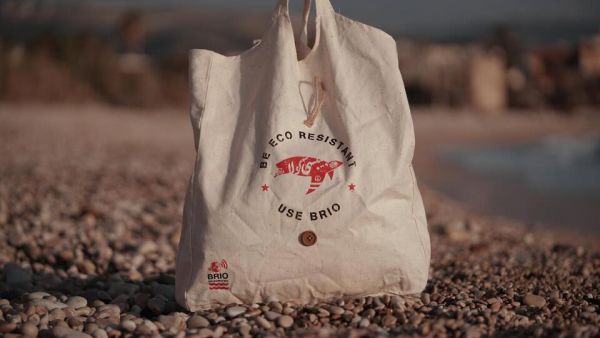 Startup Brio Bags